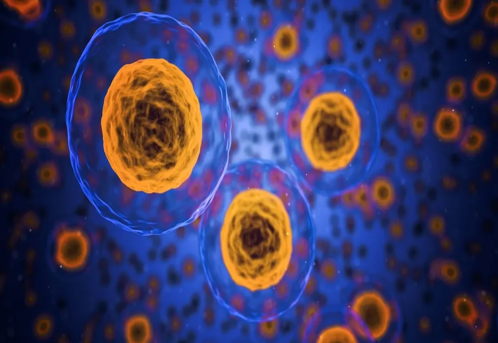 A fost descoperit un medicament care ar putea distruge tumorile canceroase