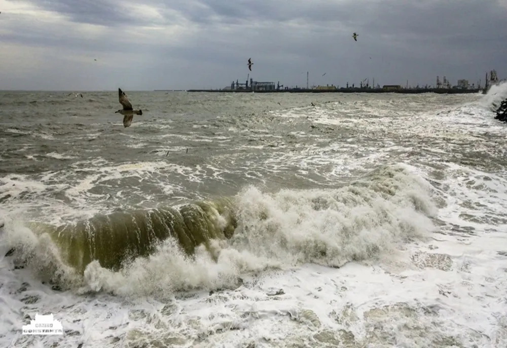 Pericol la Marea Neagră. Plajă închisă din cauza poluării