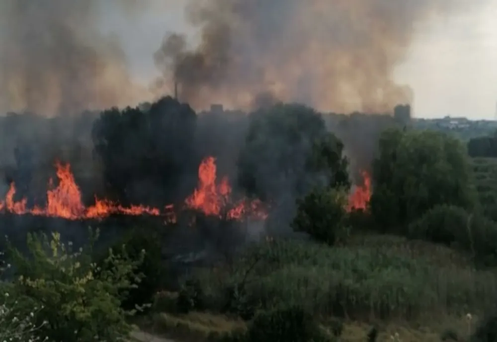 Incendiu în Delta Văcărești din București