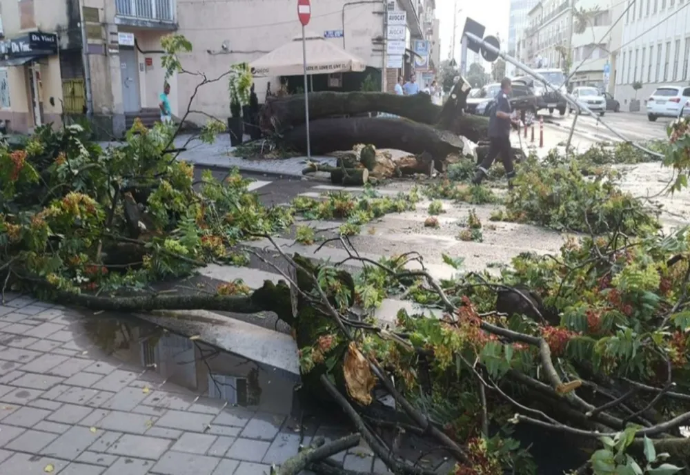 O furtună de câteva minute a măturat totul în cale la Satu Mare