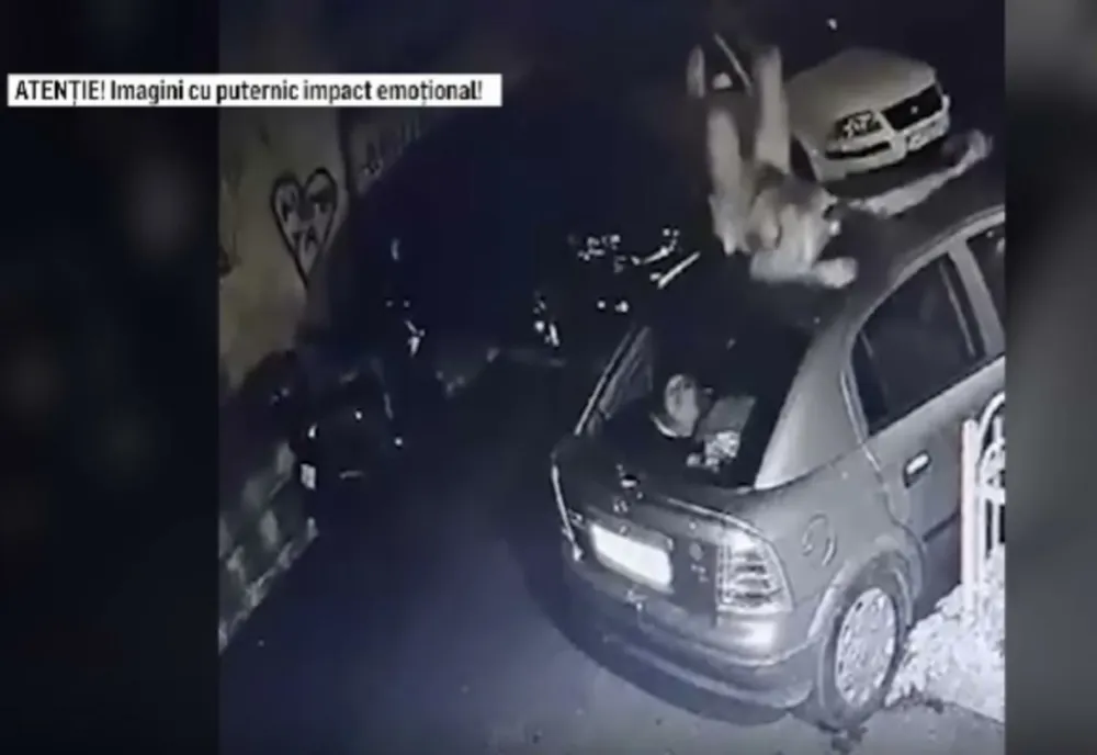 Anchetă uriașă la Poliția Capitalei: Oamenii legii, acuzați că ar fi bătut un bărbat de 30 de ani până la moarte