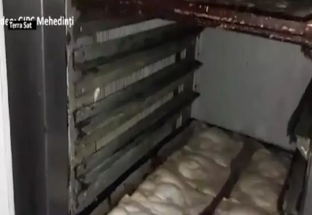 ATENȚIE la ce mâncăm! Gândaci, ulei refolosit, mizerie și rugină la o covrigărie și un magazin alimentar din Mehedinți