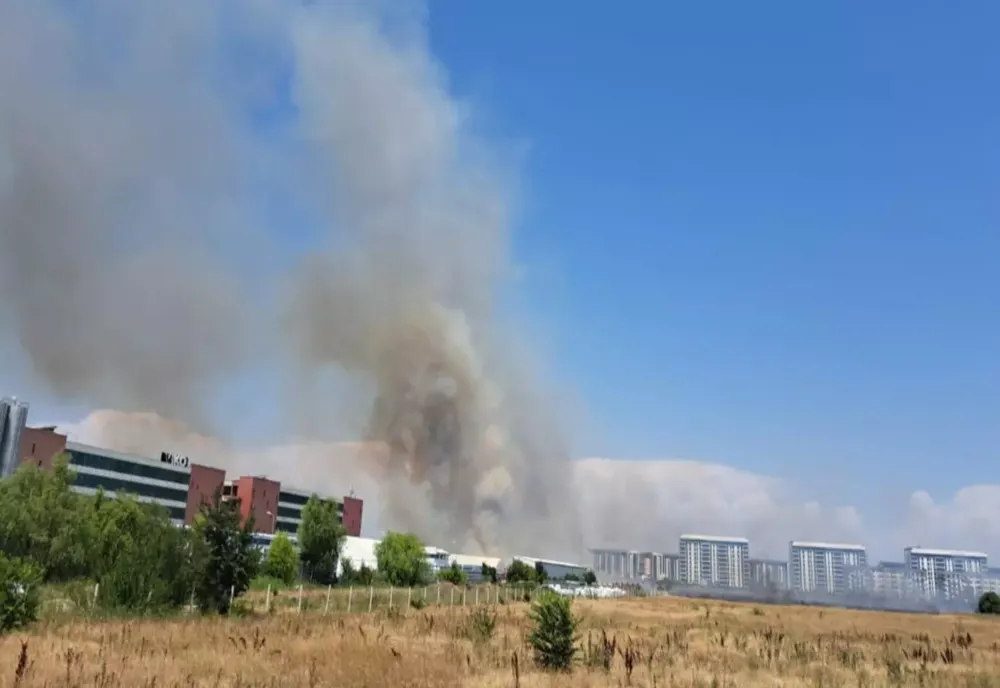 INCENDIU DE VEGETAȚIE ÎN CHIAJNA