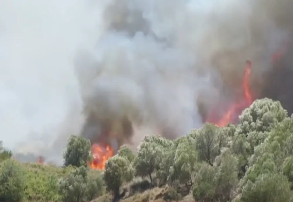 ZECE PERSOANE, GĂSITE VINOVATE ÎN CAZUL INCENDIULUI DEVASTATOR DIN MATI, GRECIA