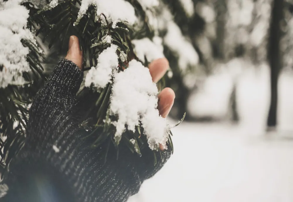 STRATUL DE ZĂPADĂ AR PUTEA AJUNGE LA 40 CM ÎN BUCUREȘTI, ÎN URMĂTOARELE ZILE