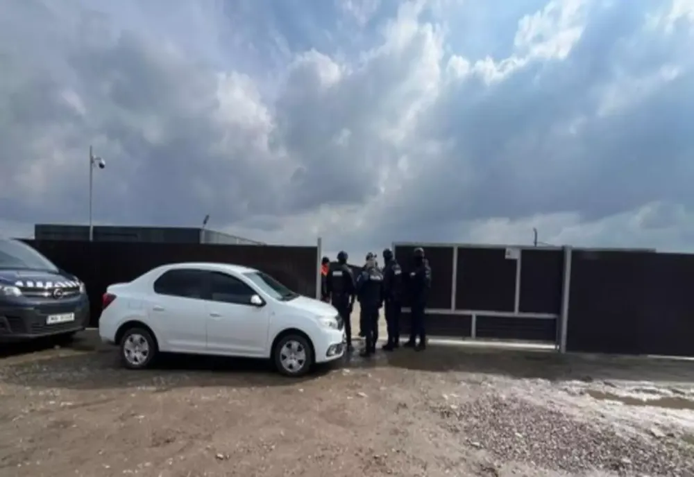Anchetă de amploare în Suceava: adăpost de animale vizat după moartea a sute de câini. Acuzații grave