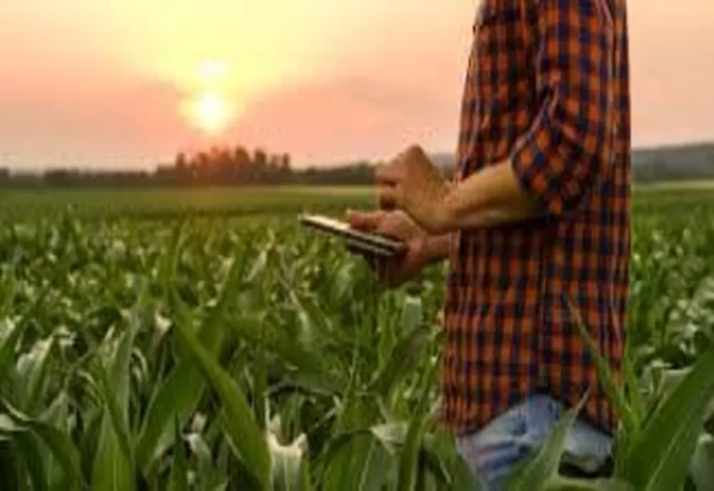  UE propune un ajutor de 540 de milioane de euro pentru fermierii afectați de criza îngrășămintelor