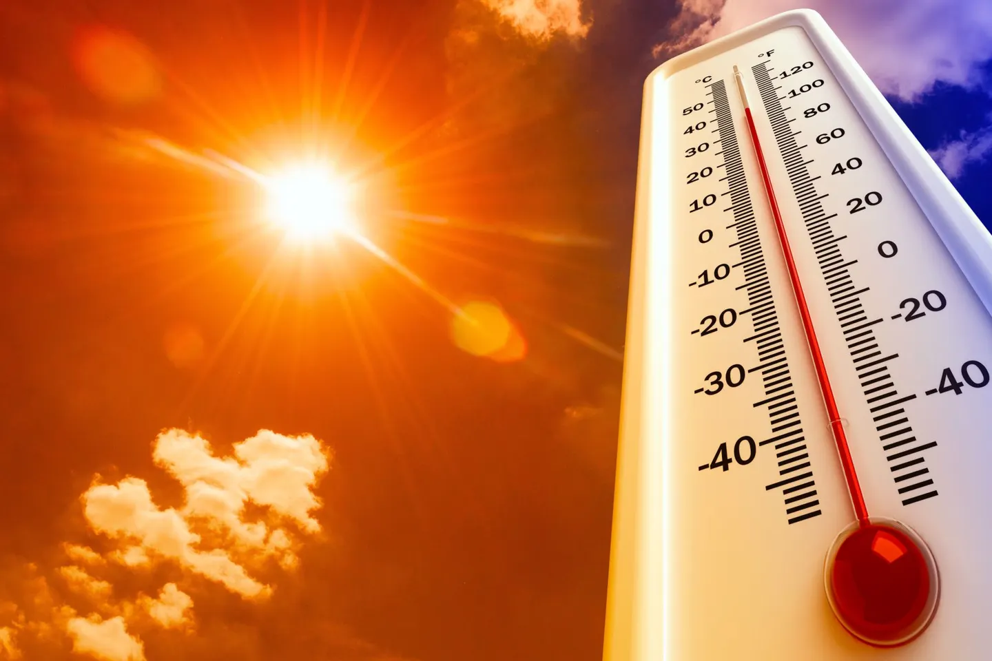 Prognoza pentru București: Cod galben de caniculă, temperaturi de 36 de grade și nopți tropicale până miercuri