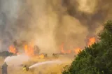 Un incendiu forestier de proporții a izbucnit în peninsula grecească Halkidiki