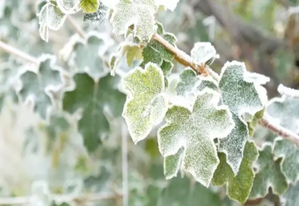 Val de aer rece peste România! Temperaturile scad brusc: noile date de la ANM