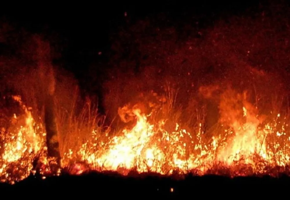 ZECI DE POMPIERI ŞI ALTE FORŢE AU ACŢIONAT TOATĂ NOAPTEA LA STINGEREA UNUI INCENDIU DE PĂDURE