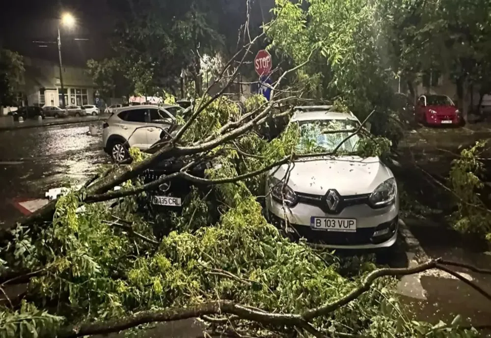 FURTUNA A FĂCUT RAVAGII ÎN BUCUREȘTI: COPACI CĂZUȚI ȘI ZECI DE AUTOTURISME AU FOST AVARIATE
