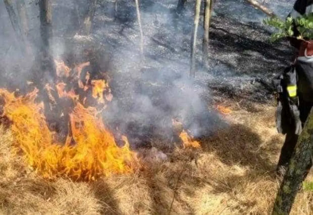 MAI MULTE STATE DIN VESTUL SUA, AFECTATE DE INCENDII PUTERNICE