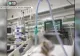 Pacient mâncat de viermi, într-un spital din București. Medicii spun că nu au materiale, conducerea neagă