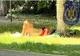 ȘOCANT! O femeie de 49 de ani s-a întins goală la soare, într-un parc din Arad. Oamenii au chemat poliția
