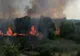 Incendiu în Delta Văcărești din București