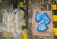 Cazul profesorului dealer din județul Bacău. Dascălul vindea canabis cultivat în casa bunicilor - Cine era CĂRĂUȘUL
