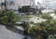 O furtună de câteva minute a măturat totul în cale la Satu Mare