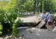 Incident foarte grav în Sectorul 3 al Capitalei - Un copac a căzut peste o femeie