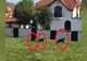 Ursoaică cu pui, fugărită de autorități, în Târgu Mureș. Animalele sălbatice au dat târcoale zonelor locuite, în plină zi