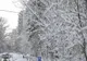 Vin ninsorile în București! Meteorologii anunță FRIG, ploi și zăpadă în următoarele zile - Prognoza specială ANM