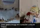 Șoareci, gândaci și mucegai, în cantina unui liceu din Timișoara - VIDEO