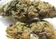 Nici marijuana nu mai e ce-a fost odată, în România: „Este stropită cu pesticide, insecticide, otravă de şobolani”