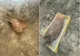 O bombă de aviație de 100 de kilograme a fost descoperită pe un teren din Satu Mare. Avertismentul specialiștilor