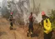 Incendiu de vegetaţie la nord de Atena