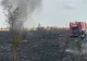 Incendiu de vegetație în Popești-Leordeni! A fost emis mesaj RO-ALERT