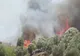 ZECE PERSOANE, GĂSITE VINOVATE ÎN CAZUL INCENDIULUI DEVASTATOR DIN MATI, GRECIA