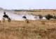 MApN: INCIDENT PE UN POLIGON NATO DIN POLONIA. UN SISTEM GEPARD ROMÂNESC A LOVIT UN SAT DIN APROPIERE