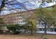 SCANDAL LA SPITALUL MANGALIA: ASISTENTĂ MEDICALĂ ACUZATĂ DE DELAPIDARE ȘI VÂNZARE ILEGALĂ DE MEDICAMENTE