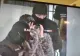 NOI AUDIERI ÎN DOSARUL TÂNĂRULUI RAREȘ, MORT ÎN URMA UNEI SUPRADOZE