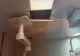 CLIPE DE GROAZĂ ÎN SALA DE OPERAȚIE DE LA SPITALUL MARIUS NASTA. TAVAN PRĂBUȘIT PARȚIAL ÎN TIMPUL UNEI INTERVENȚII CHIRURGICALE 
