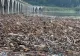 STARE DE ALERTĂ ÎN COMUNA POIANA TEIULUI, JUDEȚUL NEAMȚ, DUPĂ INUNDAȚIILE DEVASTATOARE DIN ZONĂ