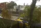 CIRCULAȚIA ÎNTRERUPTĂ PE ȘOSEAUA GIURGIULUI. UN COPAC A CĂZUT PESTE O MAȘINĂ ÎN MERS - O VICTIMĂ 