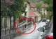 Urs surprins alergând pe un trotuar din Brașov, în zona Facultății de Silvicultură VIDEO